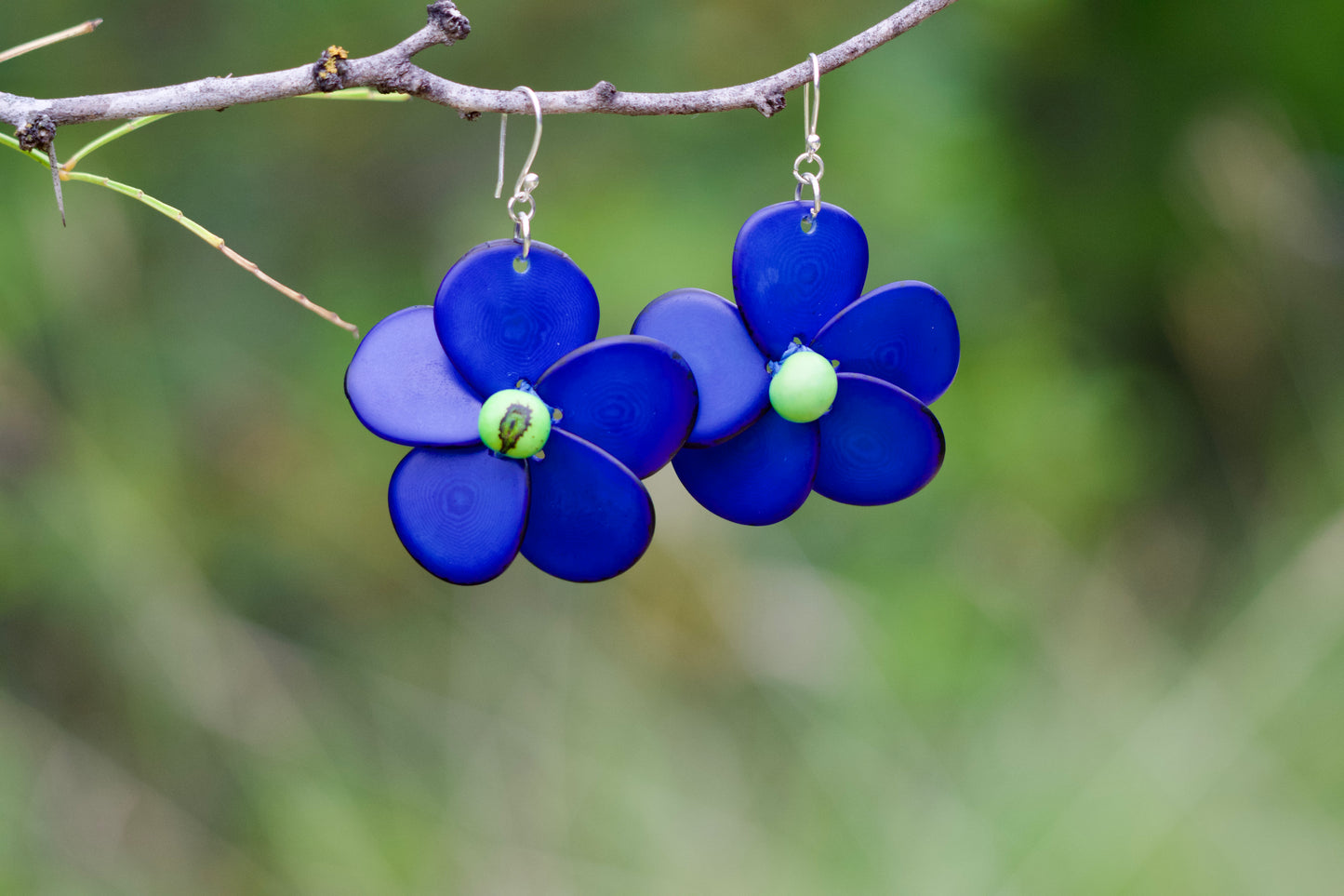 Tagua Seed Earrings