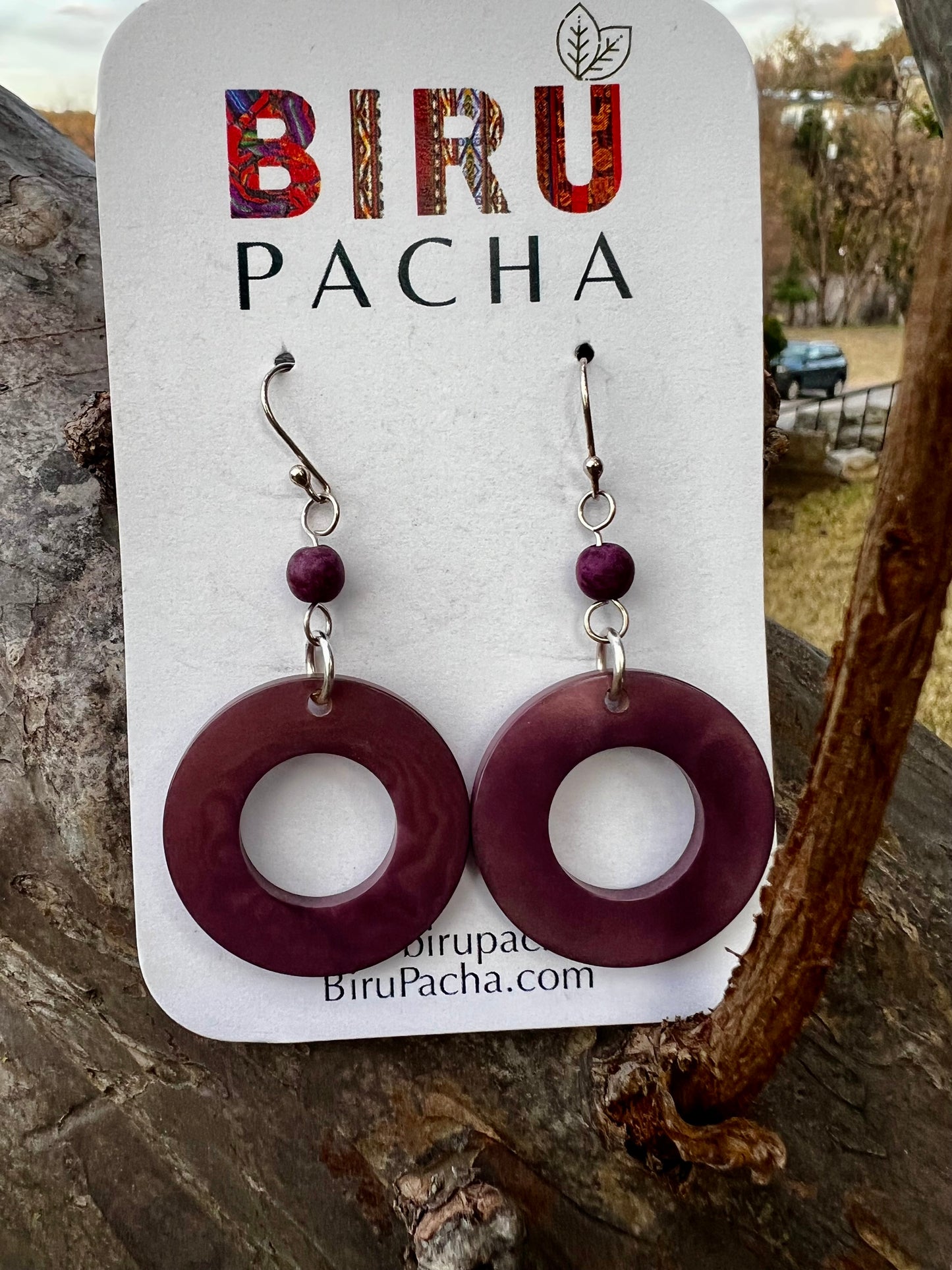 Tagua Seeds Earrings