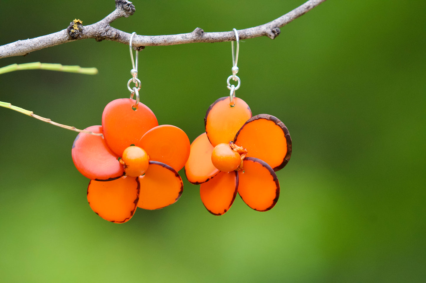 Tagua Seed Earrings