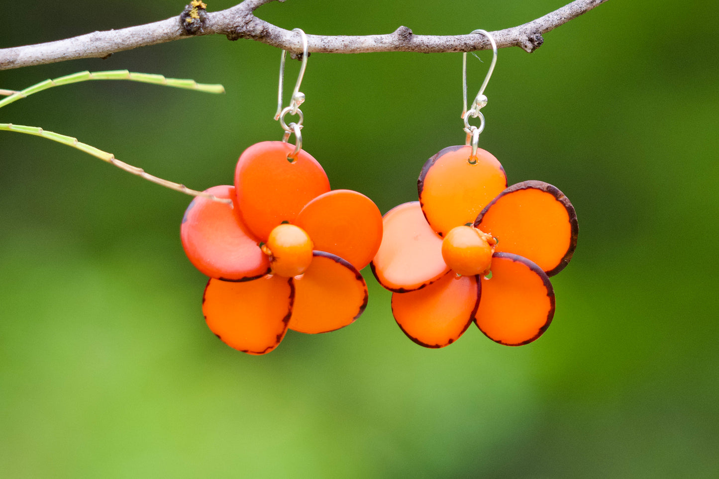 Tagua Seed Earrings