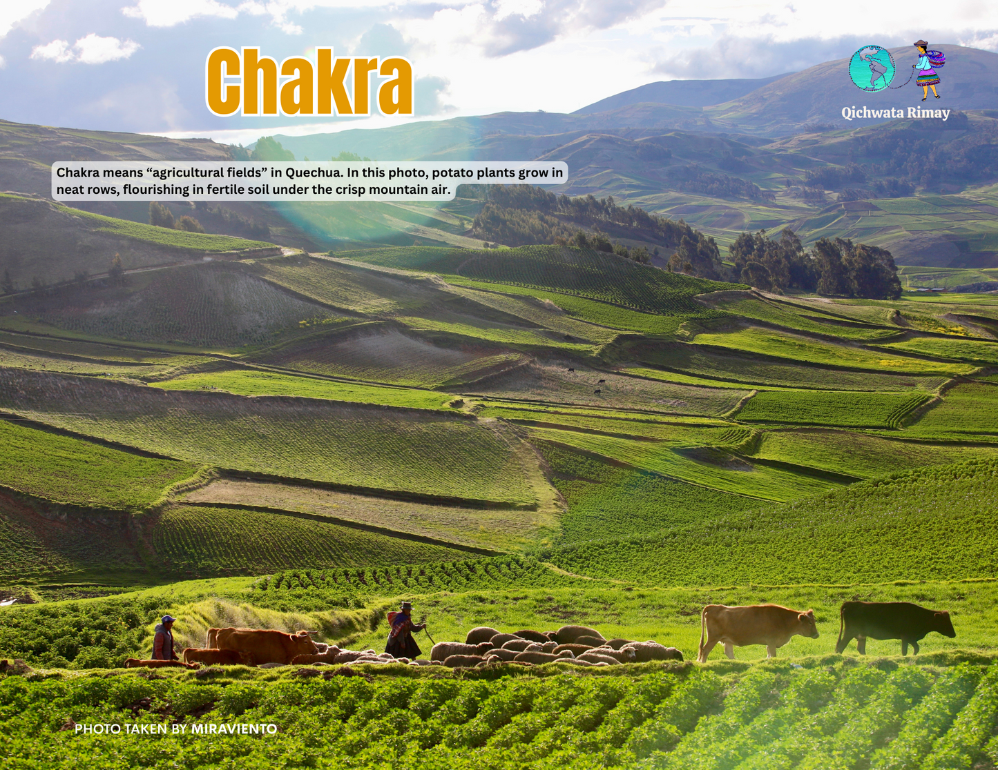 Wata Killakuna 2026 / Calendar in Quechua 2025 - 11 "x 8.5"