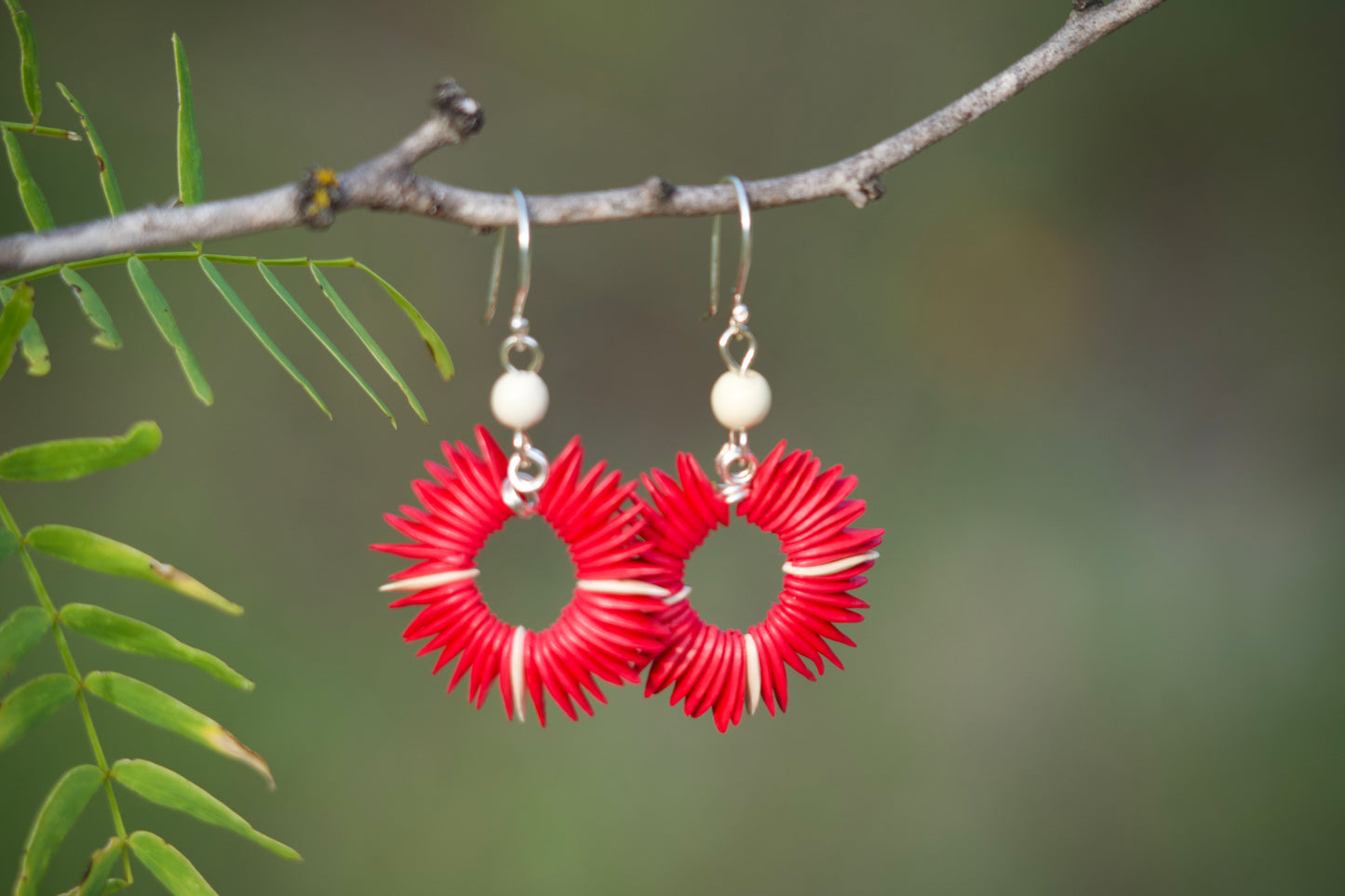 Cantaloupe Seed Earrings