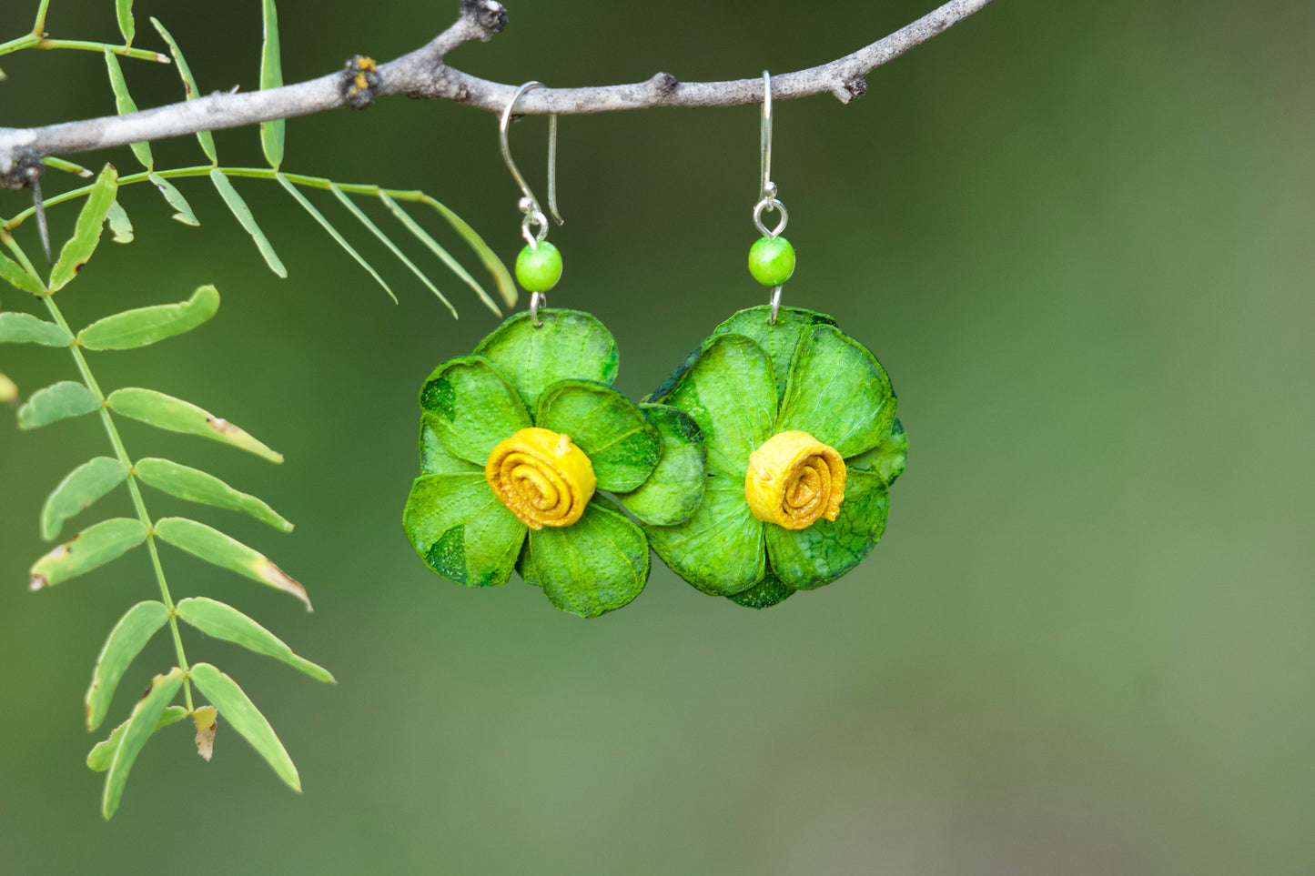 Kuri- Lime Peel Earrings