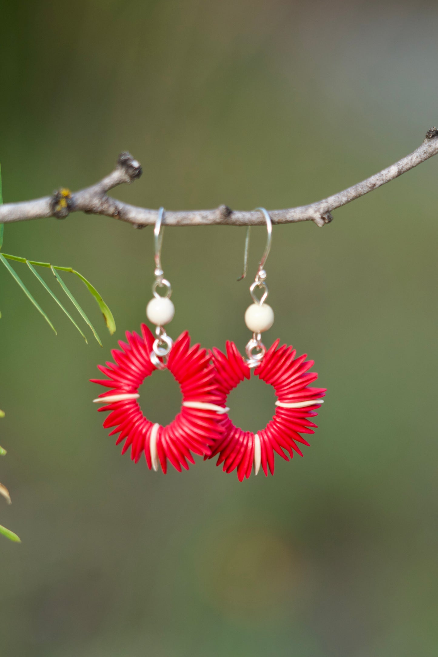 Cantaloupe Seed Earrings