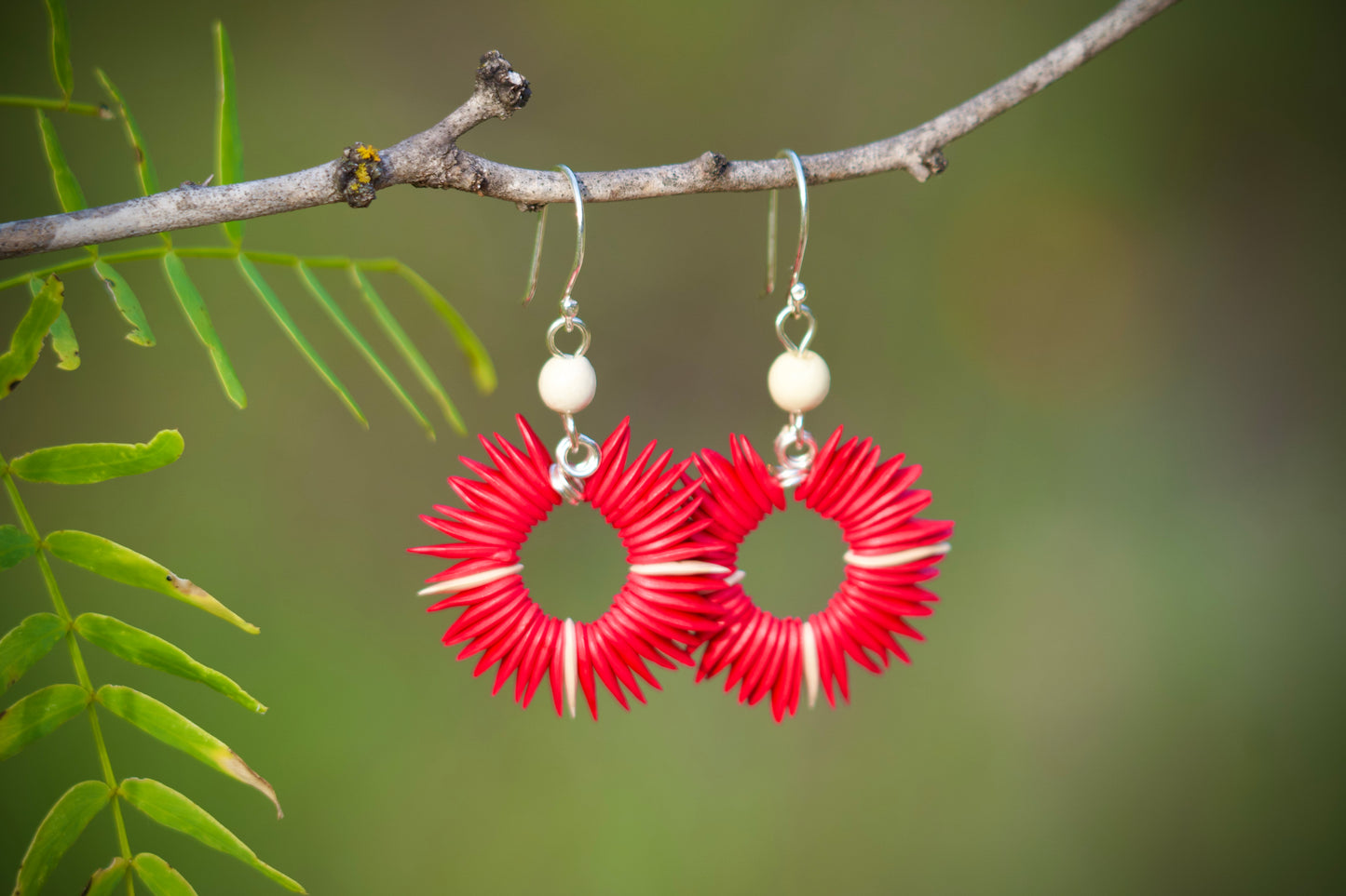 Cantaloupe Seed Earrings