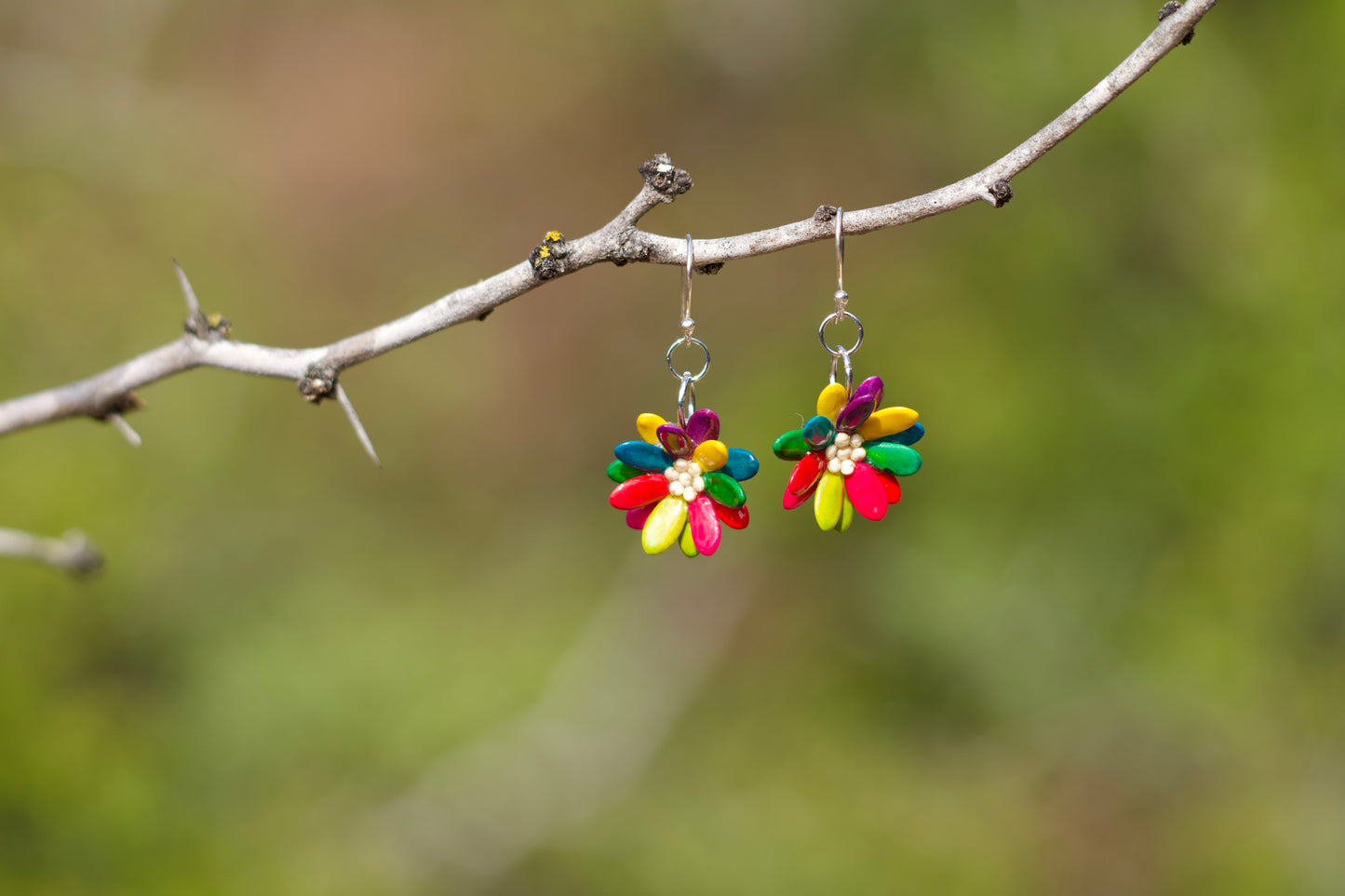Cantaloupe Seeds Earrings