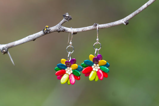 Cantaloupe Seeds Earrings
