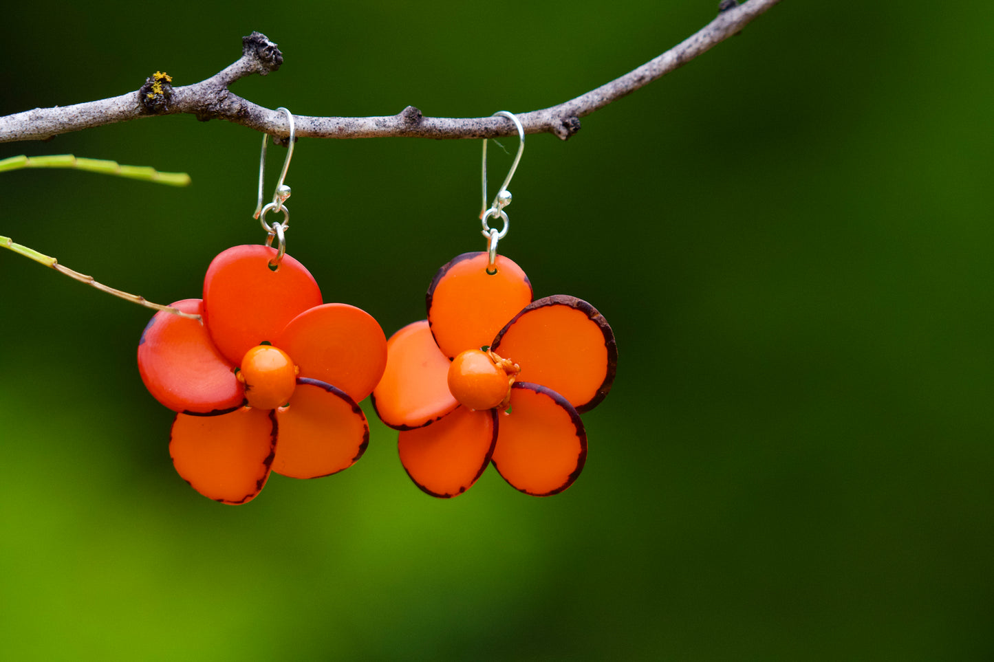 Tagua Seed Earrings