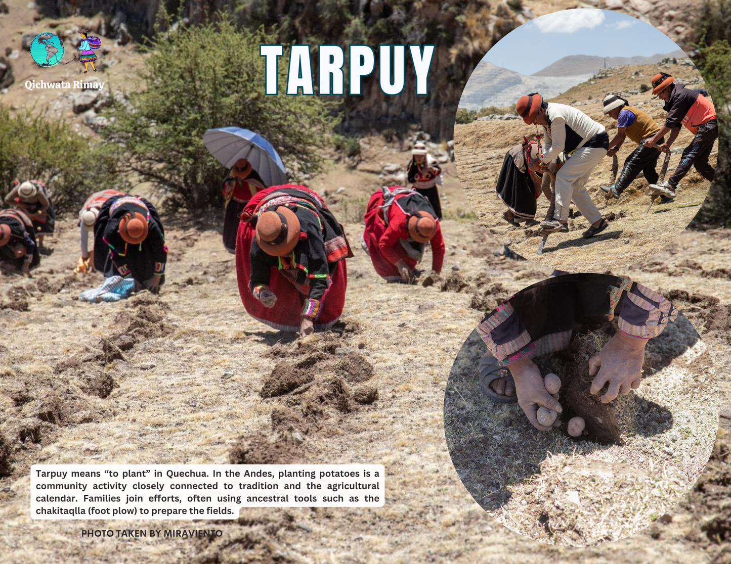 Wata Killakuna 2026 / Calendar in Quechua 2025 - 11 "x 8.5"