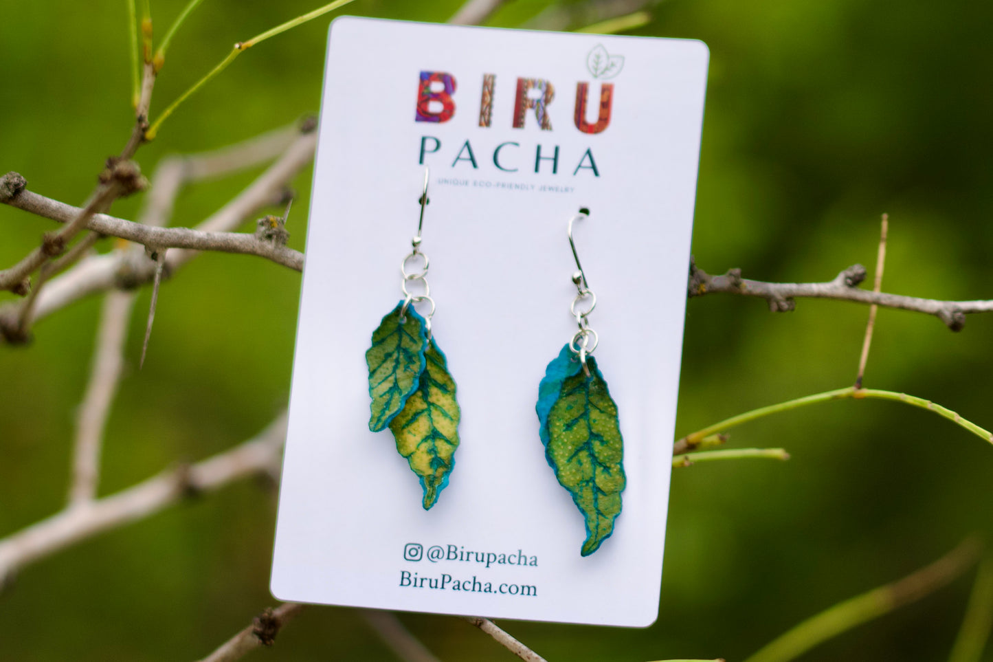 Lime Peels Earrings