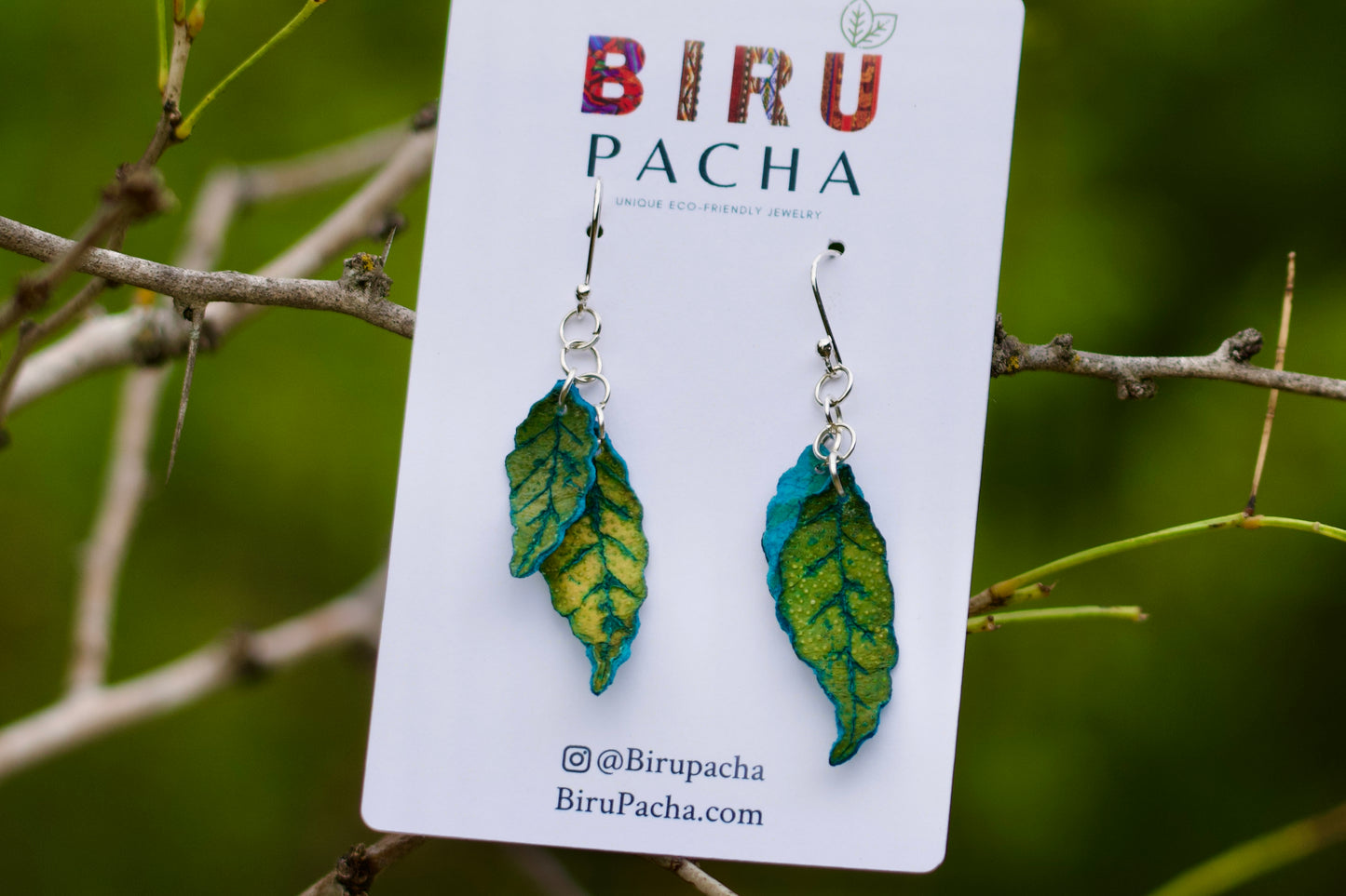 Lime Peels Earrings