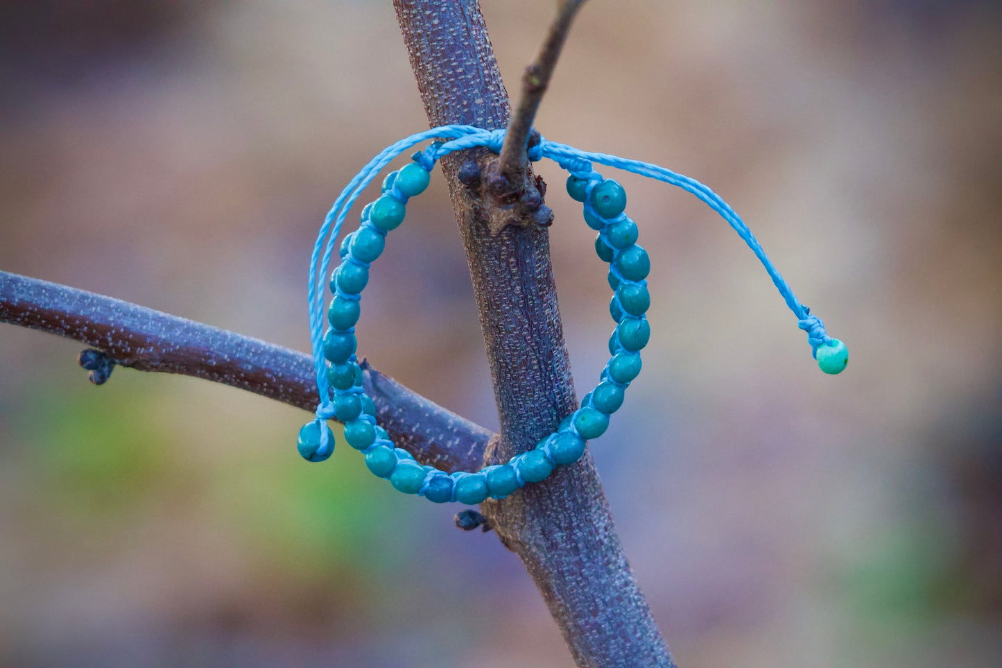 Ruru - Turquoise Acai Seed Bracelet