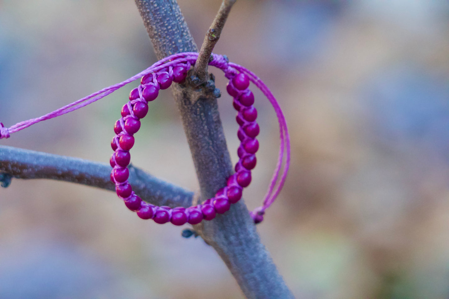 Ruru - Turquoise Acai Seed Bracelet