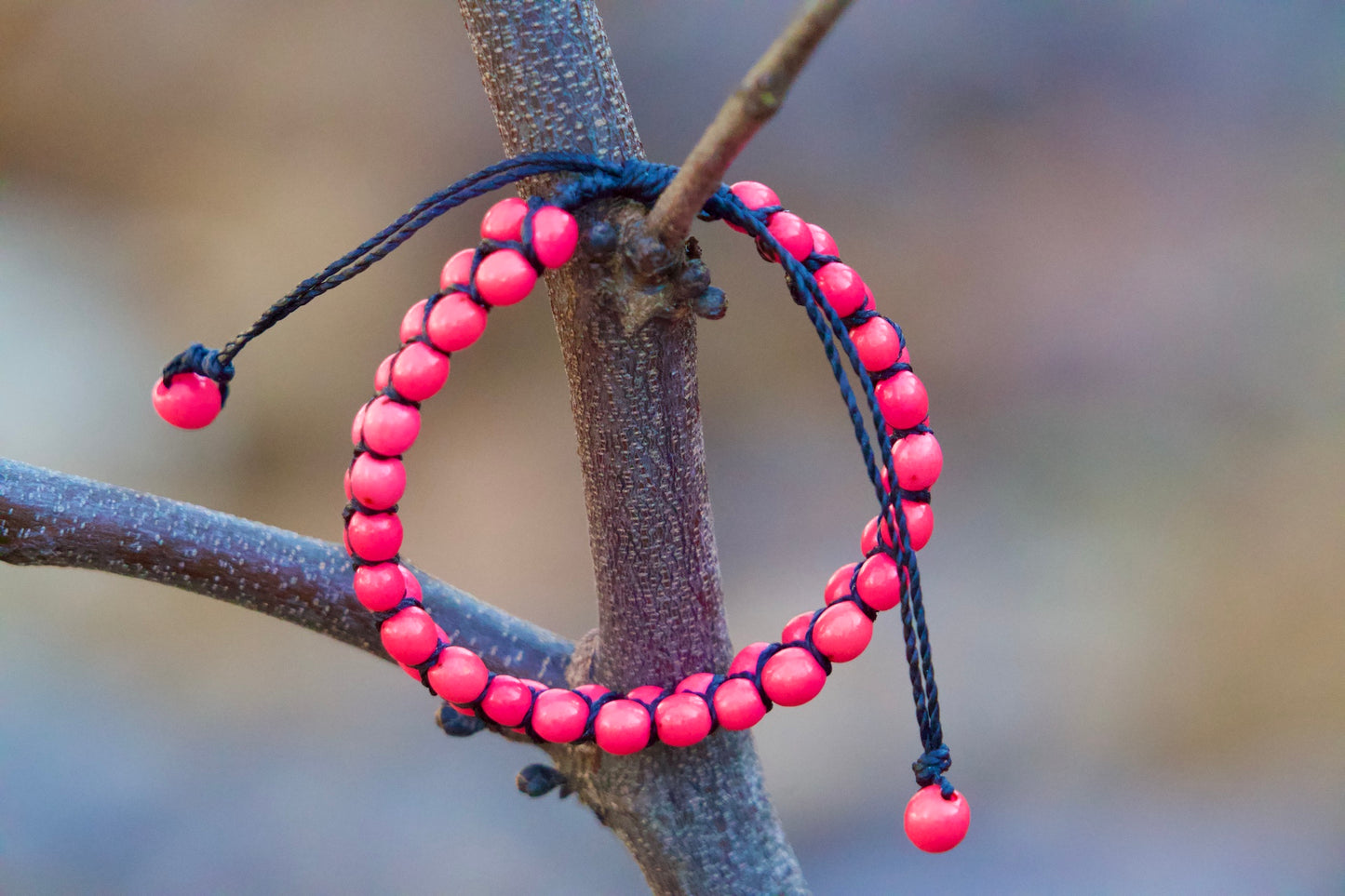 Ruru - Blue Acai Seed Bracelet