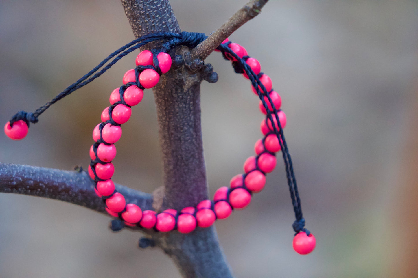 Ruru - Blue Acai Seed Bracelet