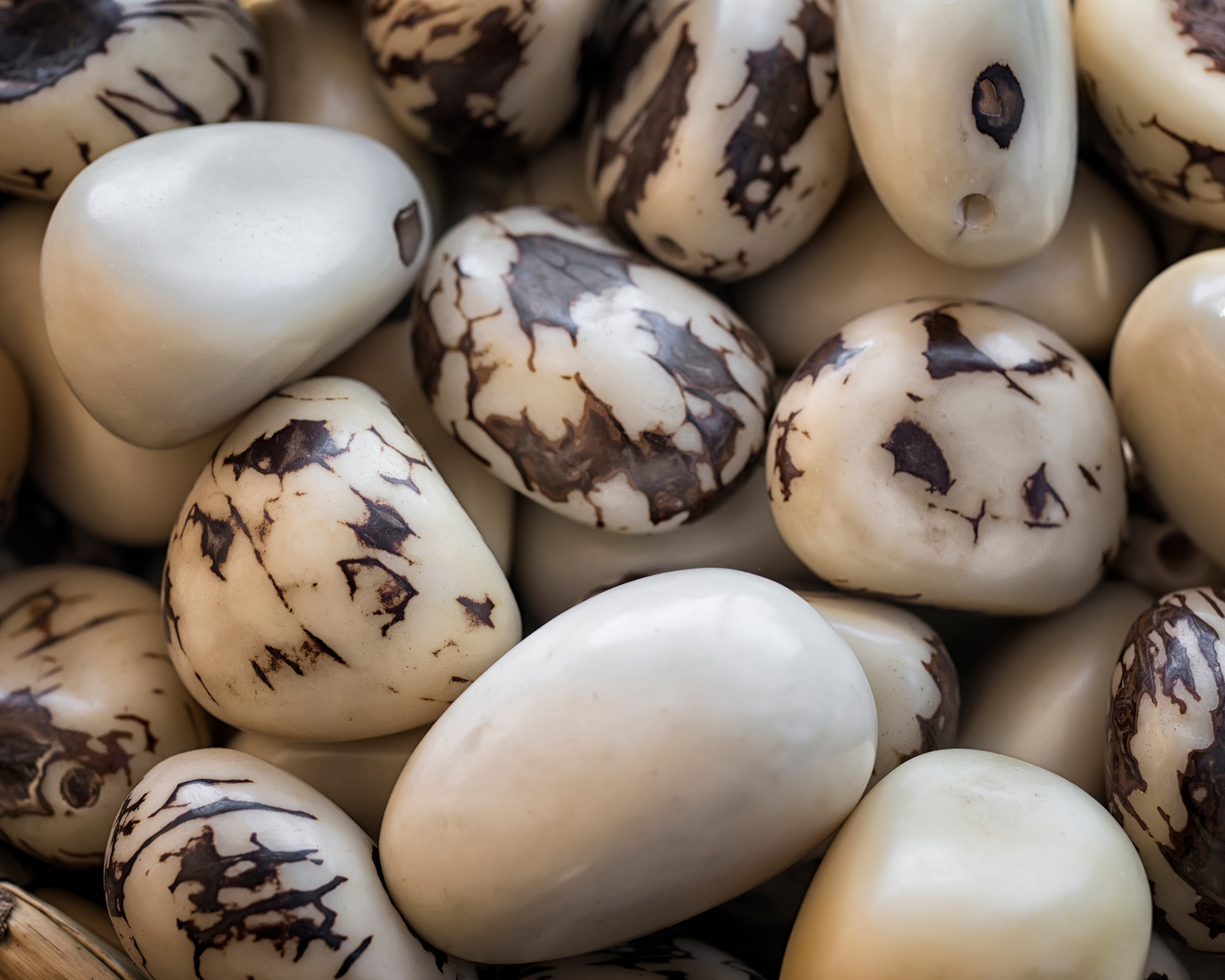 Chira - Tagua Seeds Necklace